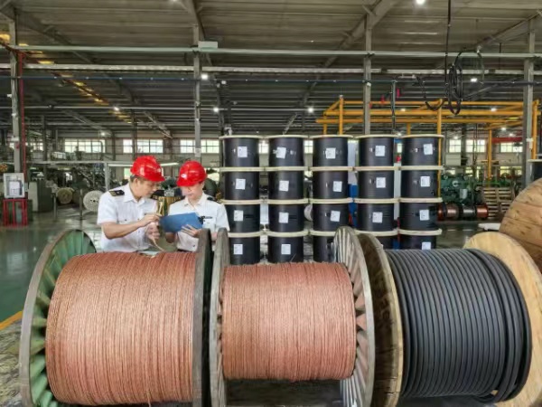 Kaiyun中国：经贸合作走深走实今年前4个月上海口岸对阿盟国家进出口破千亿(图2)