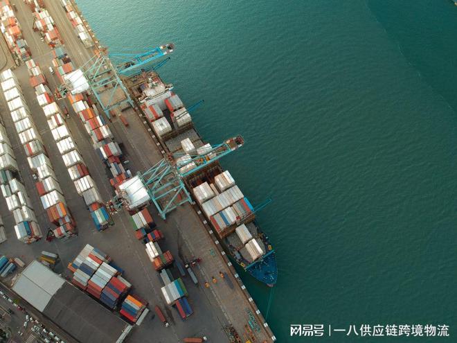 开云网站：什么是清关？报关？结通一文解读海运通关名词(图3)