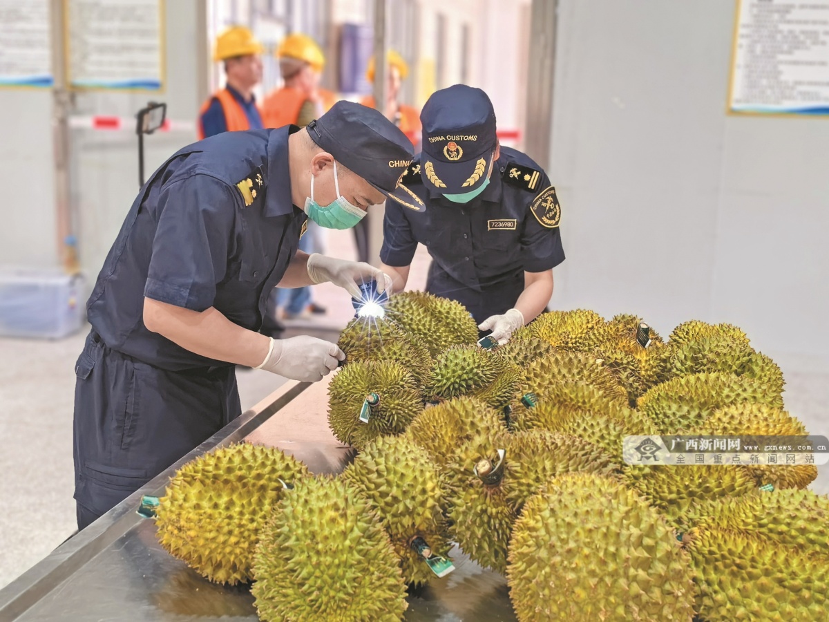 Kaiyun中国:通关提质增效!东兴口岸前4月进出口货物量值齐增