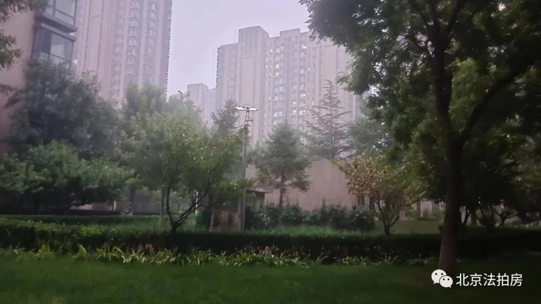 Kaiyun中国：朝阳某事业单位再次砸盘一次性抛售20套库存!(图2)
