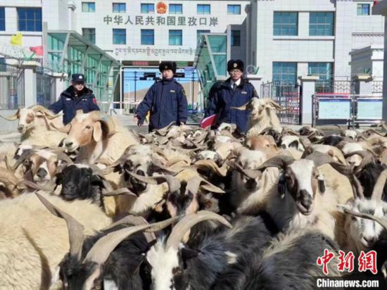 开云网站：西藏最年輕對外開放口岸助推“鹽羊古道”貿易發展