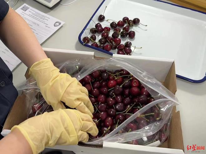 Kaiyun中国:枢纽网打开财富网!成都对这些国家进出口前4月增长163%(图3)