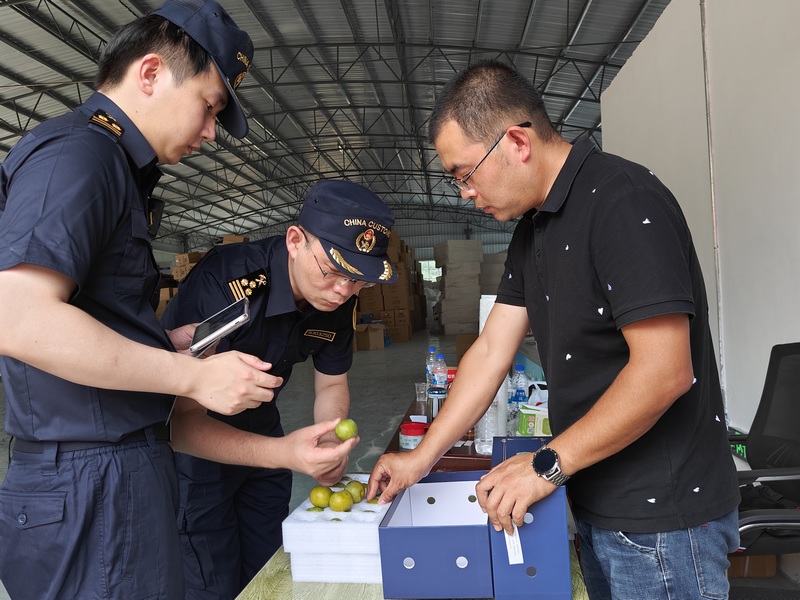 Kaiyun中国：“黔货出海”贵州蜂糖李实现首次出口(图2)