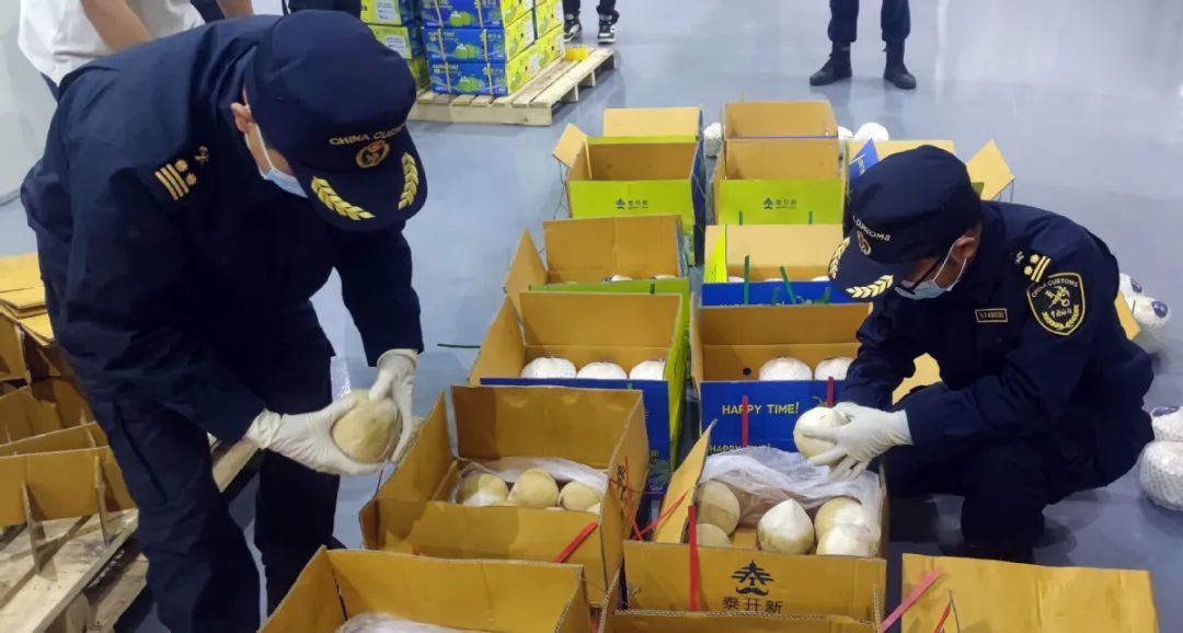 开云网站：一次申报一次查验放行珠海金湾进出口货物通关新模式启动(图3)