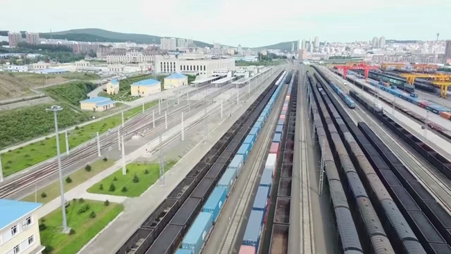 开云网站：部门协同联动助力口岸高效通关(图2)