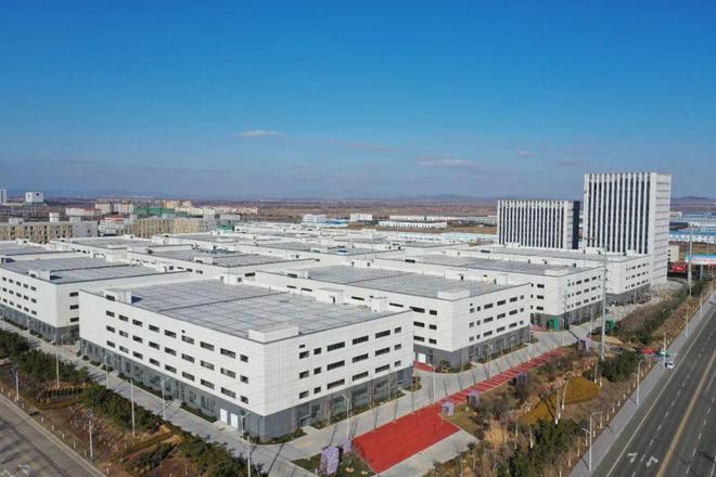 开云网站：蓝创进出口：拓展国际市场业绩加速增长(图2)