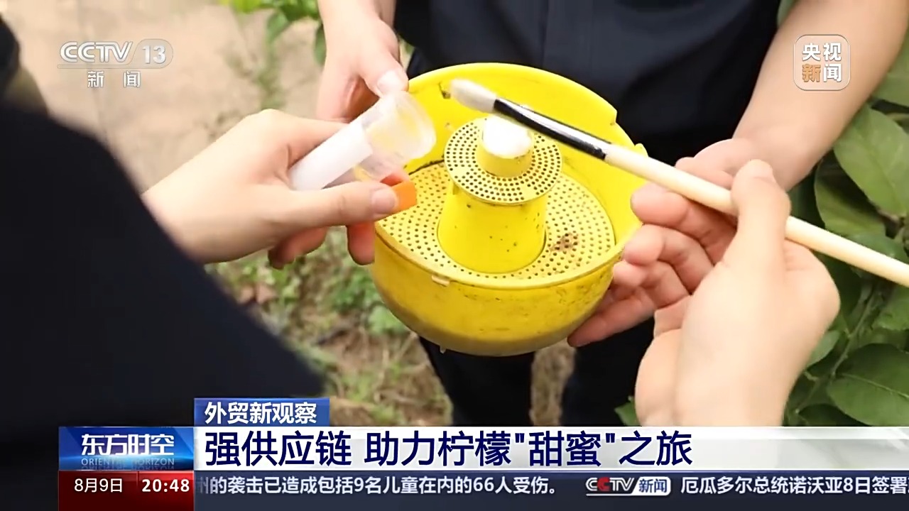 Kaiyun中国：从“铬矿”和“柠檬”的进出口看西部陆海新通道的赋能之路(图6)