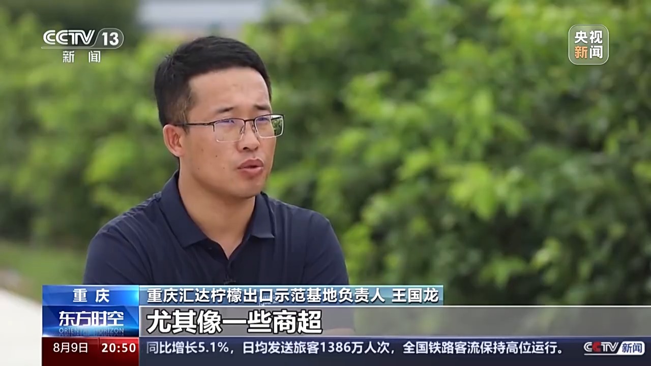 Kaiyun中国：从“铬矿”和“柠檬”的进出口看西部陆海新通道的赋能之路(图10)