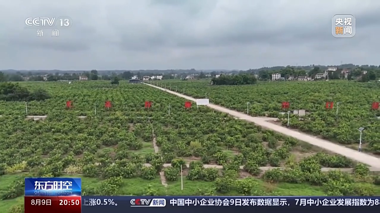 Kaiyun中国：从“铬矿”和“柠檬”的进出口看西部陆海新通道的赋能之路(图11)