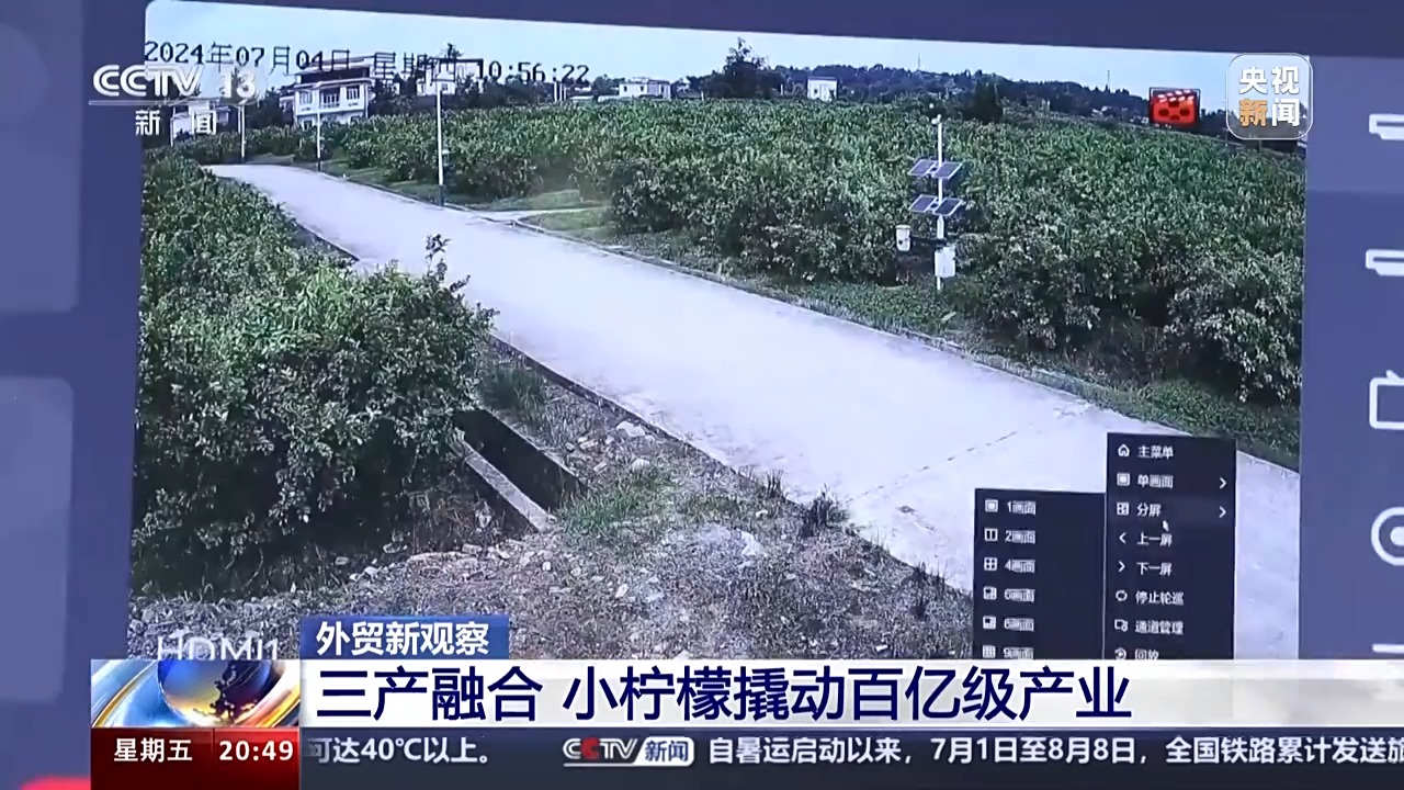 Kaiyun中国：从“铬矿”和“柠檬”的进出口看西部陆海新通道的赋能之路(图9)