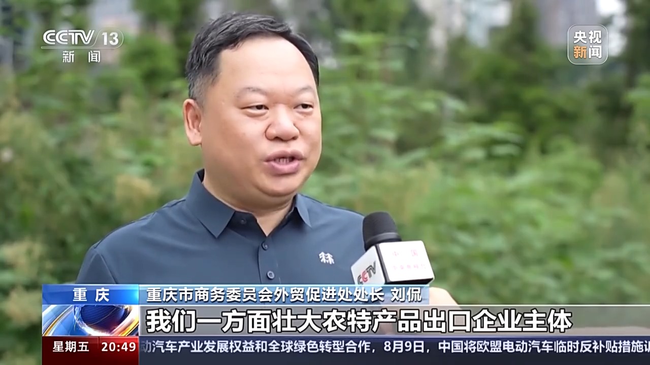 Kaiyun中国：从“铬矿”和“柠檬”的进出口看西部陆海新通道的赋能之路(图8)