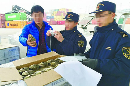 Kaiyun中国：进出口通关基础知识(图2)