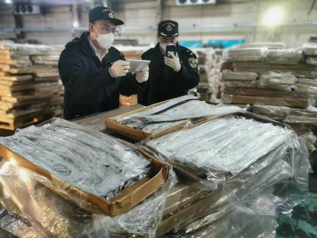 开云网站：进口水产品通关小课堂(图4)