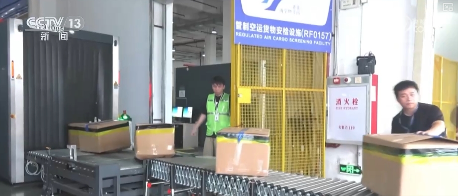 开云网站：出口“直装”、进口“直提”湾区制造业与香港航空业双向赋能(图5)