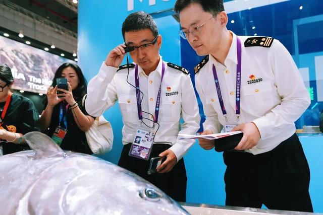 Kaiyun中国：第七届中国国际进口博览会海关通关小贴士(图4)