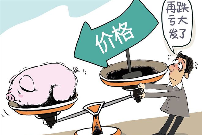 Kaiyun中国：油价上涨通知！11月9日：调价后9295号汽油价格猪价越跌越猛！(图2)