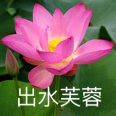 Kaiyun中国：彩神8争霸登录入口