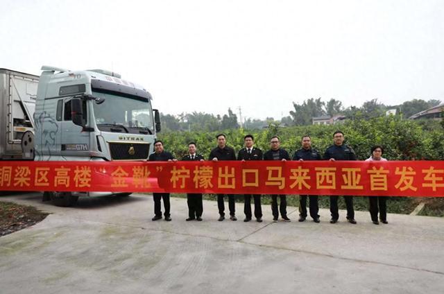 开云网站：重庆铜梁柠檬实现首次出口