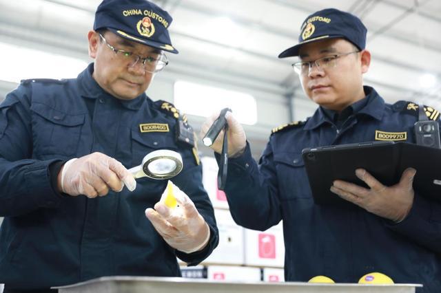开云网站：重庆铜梁柠檬实现首次出口(图2)