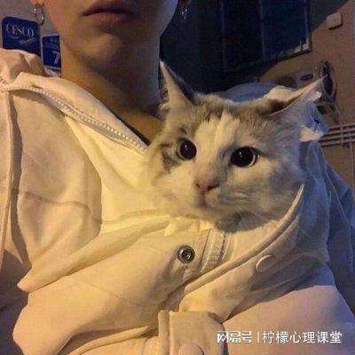 开云网站：欢迎来到7777788888管家婆香港