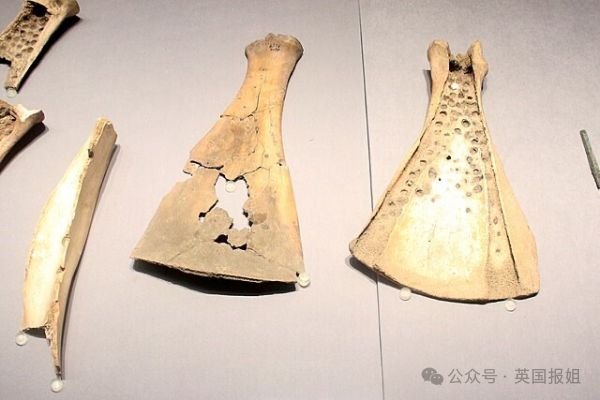 Kaiyun中国：加拿大最大博物馆丢失2千+文物多件中国殷墟甲骨文也在其中！主管：我也管不了啊(图1)