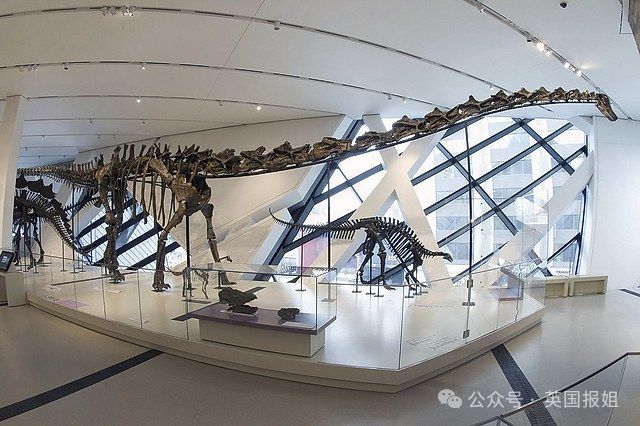 Kaiyun中国：加拿大最大博物馆丢失2千+文物多件中国殷墟甲骨文也在其中！主管：我也管不了啊(图6)