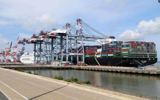 开云网站：货物出口海运越南专线详情