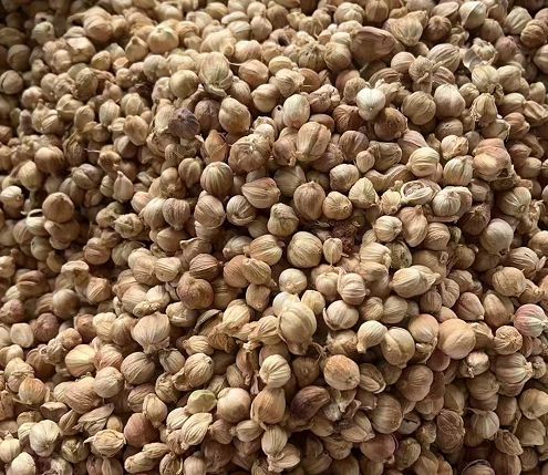 开云网站:白豆蔻进口清关流程及注意事项(图1)