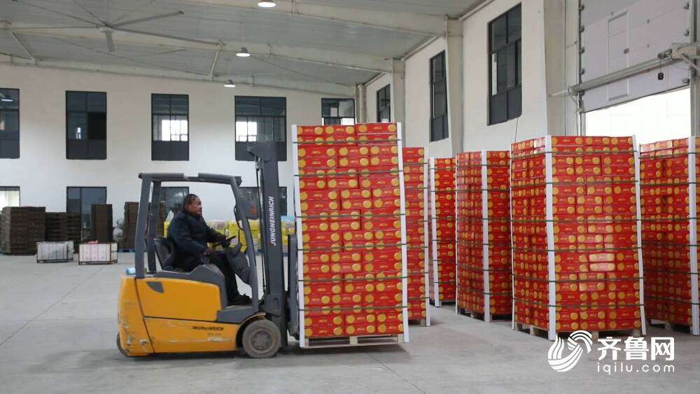 Kaiyun中国：聊城鲜梨年出口量首次突破10000吨