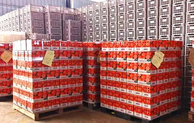 Kaiyun中国:水果罐头海运出口通关一文秒懂(图2)