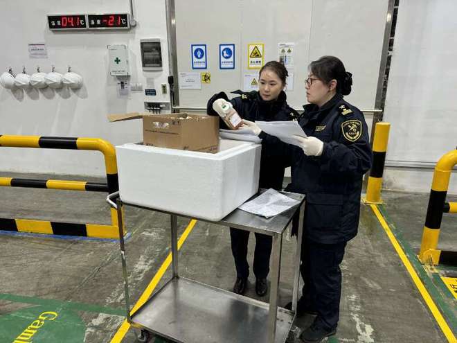 开云网站：2024年上海外高桥保税区进出口总值再破万亿元药品和医疗器械占全市68%(图1)