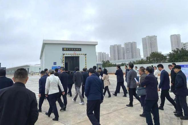 开云网站：从货车到旅客一场高效通关的极限挑战！(图2)