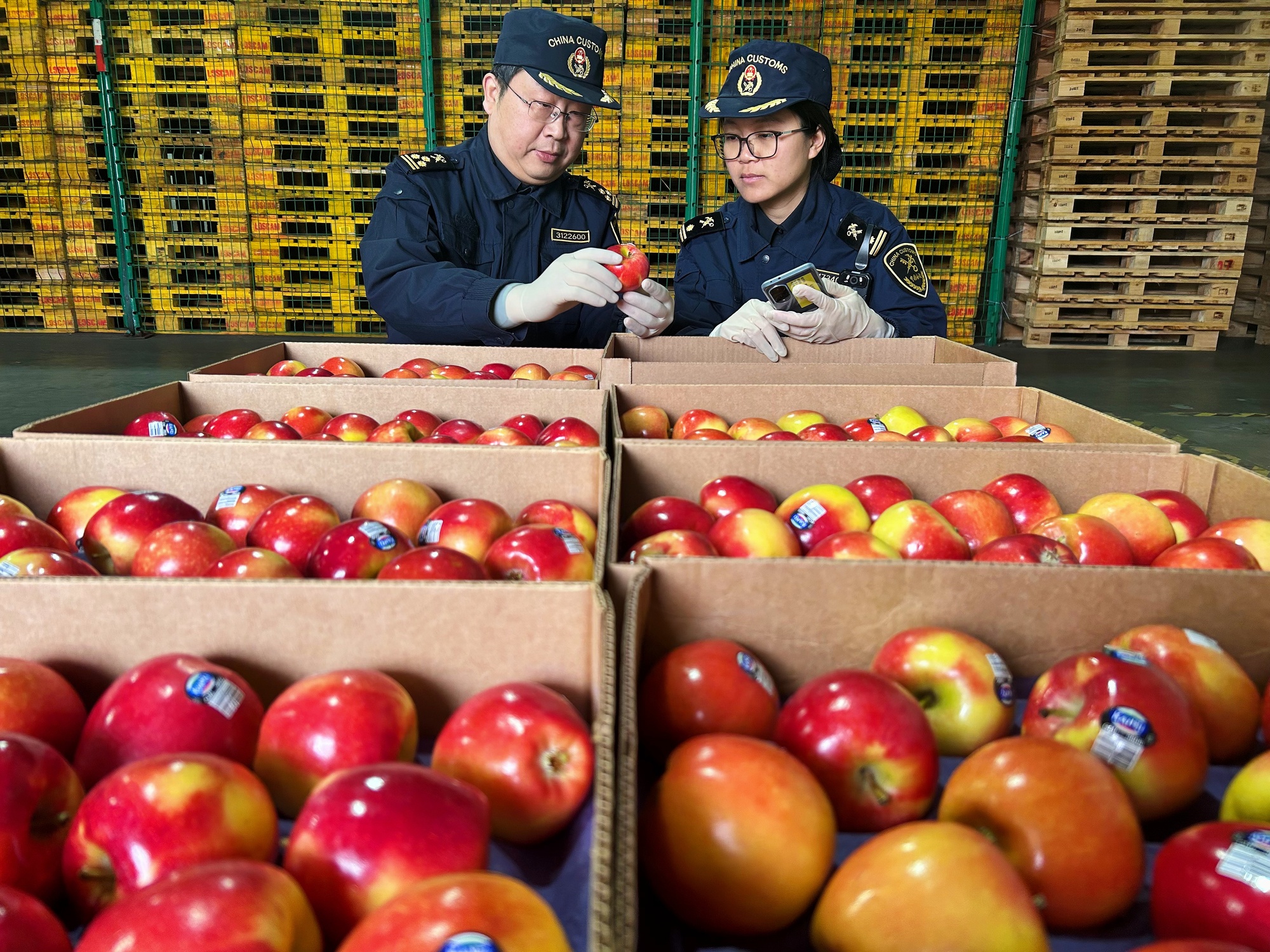 开云网站：推进高水平对外开放宁波海关出台36条细化支持举措(图1)