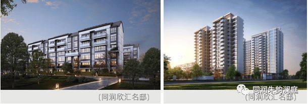 开云网站：同润朱韵澜庭-指定网站“2025投资趋势”“上海楼市分析”(图9)