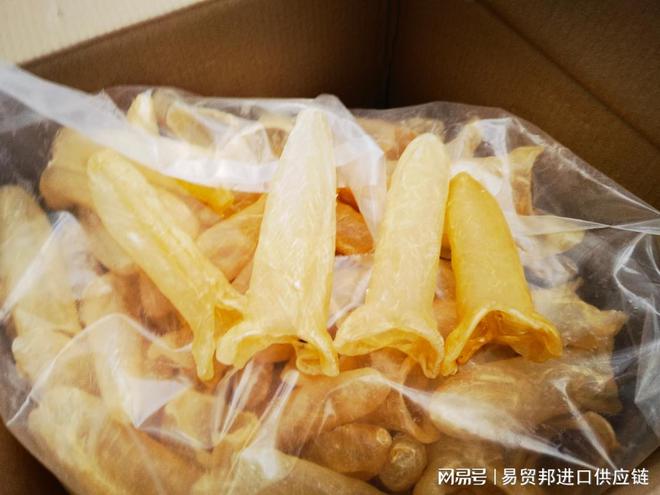 Kaiyun中国：鱼胶花胶进口清关流程及注意事项(图1)