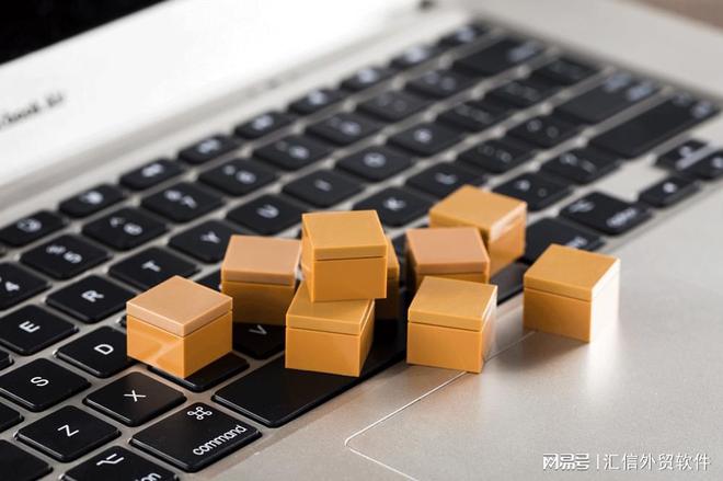 开云网站：人工报关效率低？Winseeing汇信外贸软件+单一窗口轻松一键提交