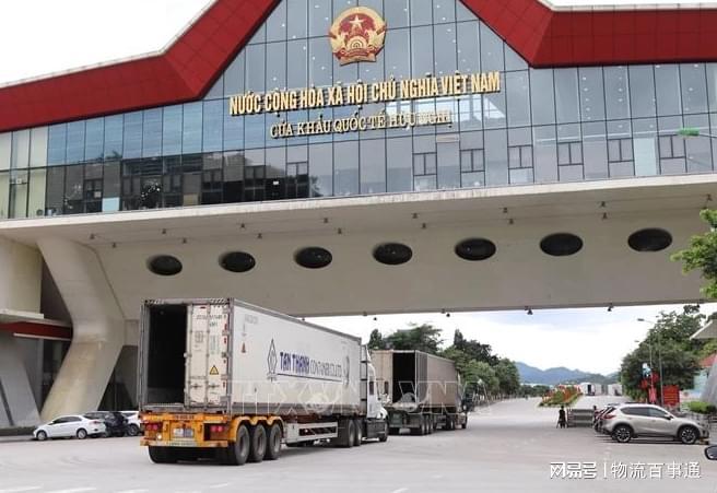 Kaiyun中国：越南出口申报流程(图3)