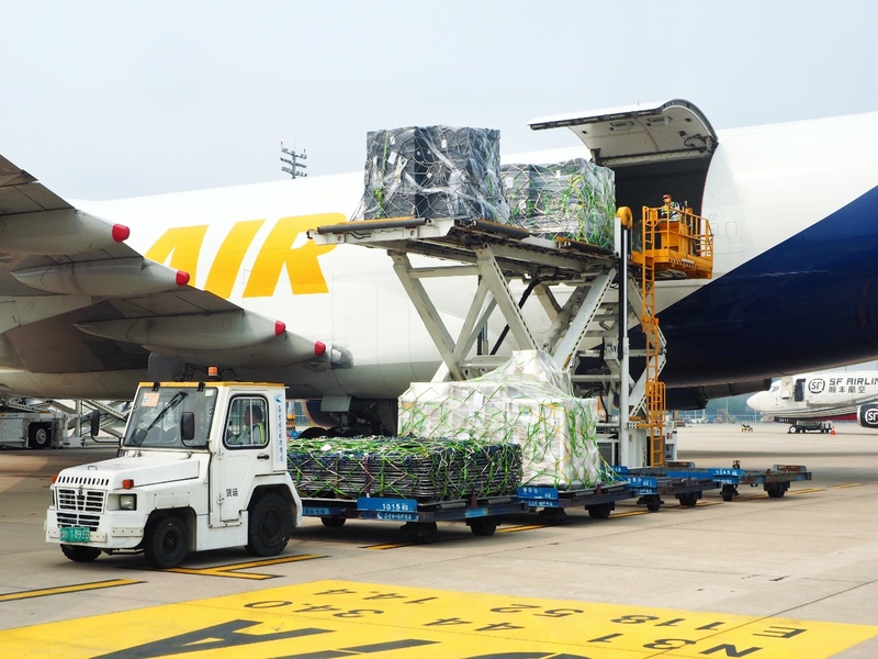 开云网站：一季度江苏机场货邮吞吐量125万吨同比增长108%