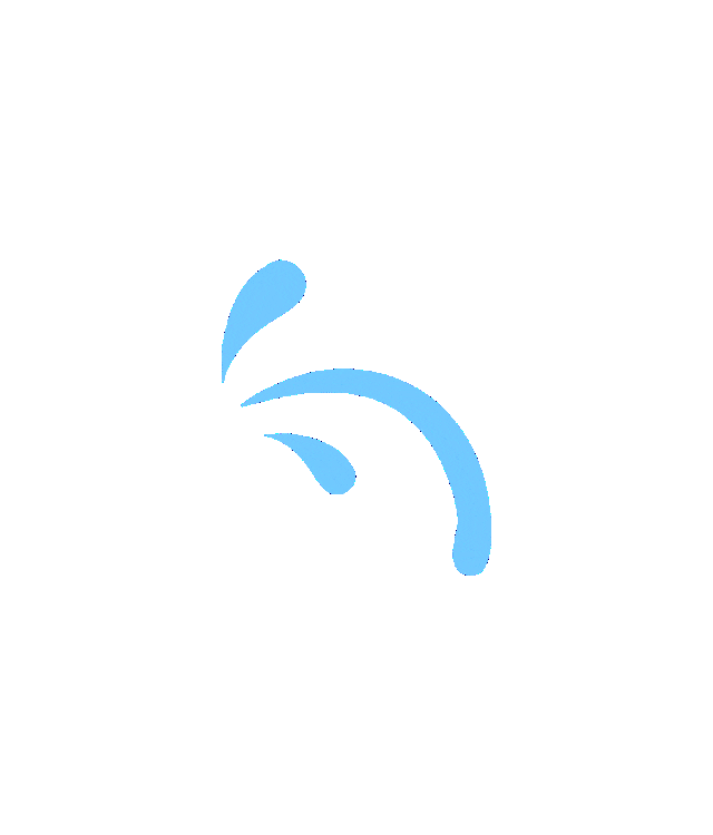 开云网站：顺义“铲屎官”狂喜！北京试点携宠物出境便捷服务报关仅不到10分钟(图4)