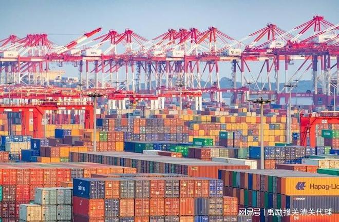 开云网站：上海报关口岸(图3)