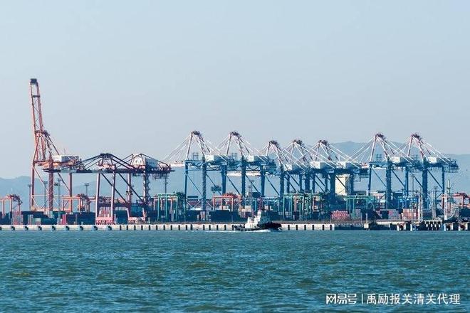 开云网站：上海报关口岸(图2)
