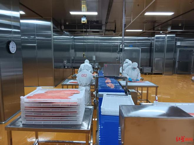 Kaiyun中国：一条三文鱼“游”出一条产业链！三文鱼进口成都中转提速约5小时(图5)