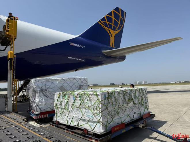 Kaiyun中国：一条三文鱼“游”出一条产业链！三文鱼进口成都中转提速约5小时(图2)