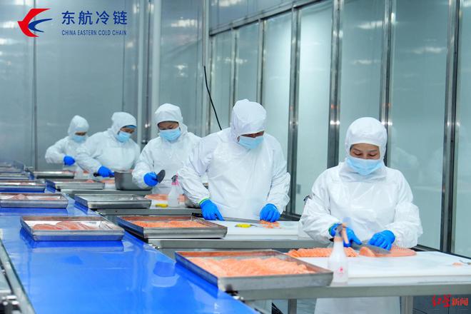 Kaiyun中国：一条三文鱼“游”出一条产业链！三文鱼进口成都中转提速约5小时(图3)