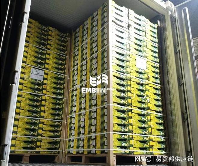 Kaiyun中国：肯尼亚牛油果上海外高桥进口清关案例(图1)