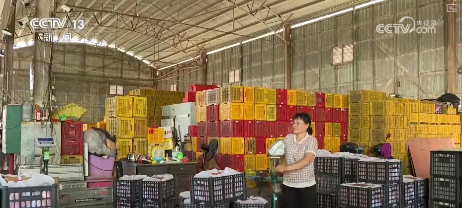 Kaiyun中国：生意红火、成果丰硕！多个地理视角透视外贸亮眼“成绩单”解析↓(图10)
