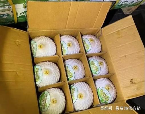 Kaiyun中国：【进口知识】鲜食椰子进口通关指南必看！(图1)
