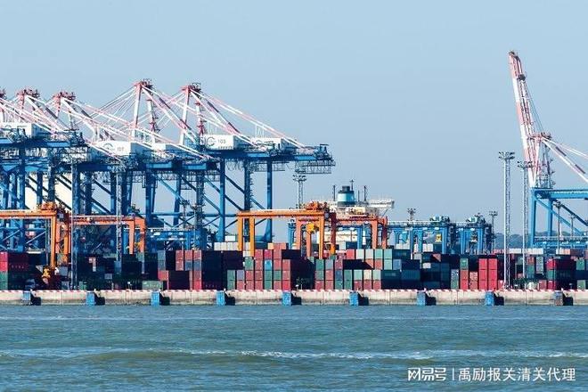 开云网站：上海外贸公司报关(图3)