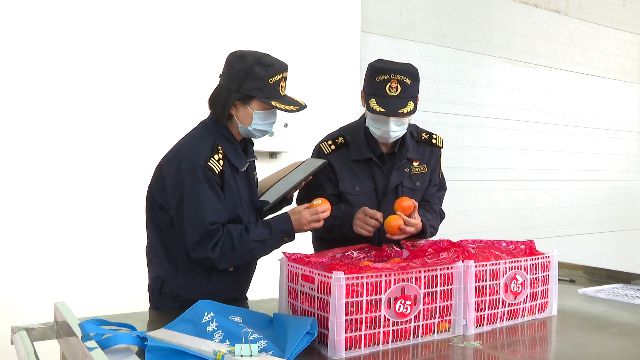 Kaiyun中国：大理鲜活农产品出口一站式服务助力高原水果“鲜”行(图3)