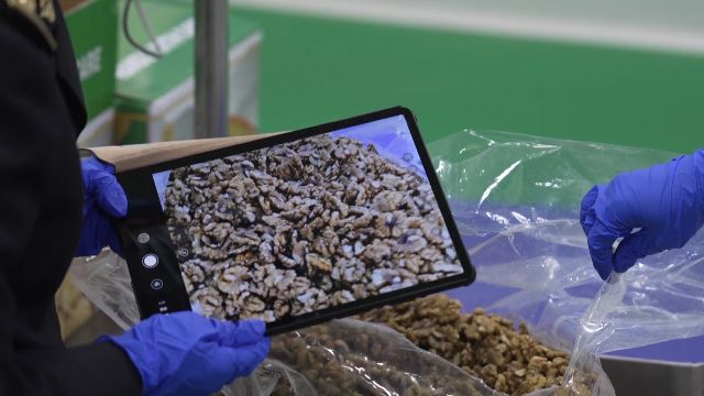 Kaiyun中国：大理鲜活农产品出口一站式服务助力高原水果“鲜”行(图10)